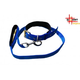 Premium Strong Nylon Everyday Dog Collar Leash Set - Blue