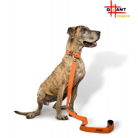 Premium Strong Nylon Everyday Dog Collar Leash Set - Red