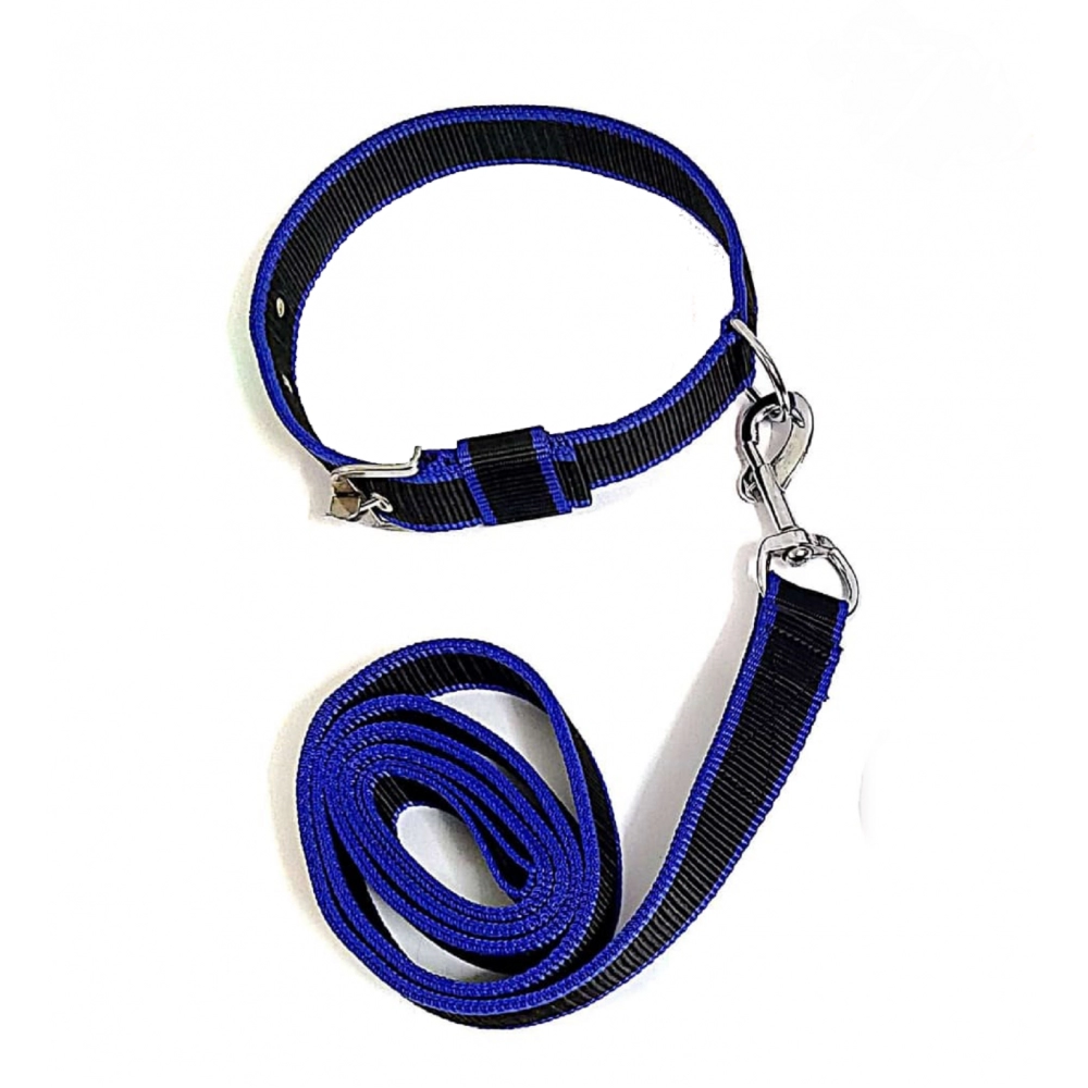 PP collar with Leash - Blue