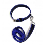 PP collar with Leash - Blue
