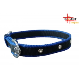 PP collar with Leash - Blue