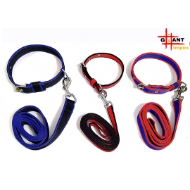 PP collar with Leash - Blue