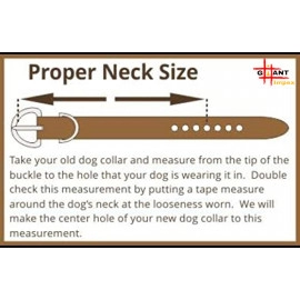 Spike Leather Dog Collar - Black
