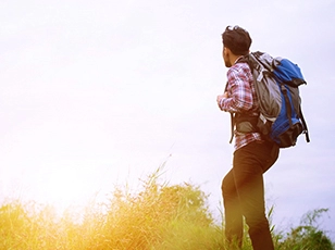 Travel Organizer Travel Organizer