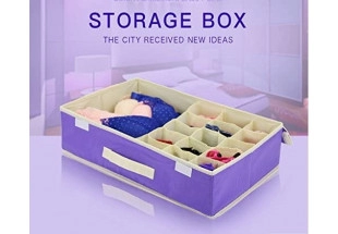 GIANT IMPEX -Multi Compartment Storage Box - Innerwear Organizer