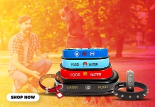 Dog Cat Double Diner Box Set - easy to wash and carry